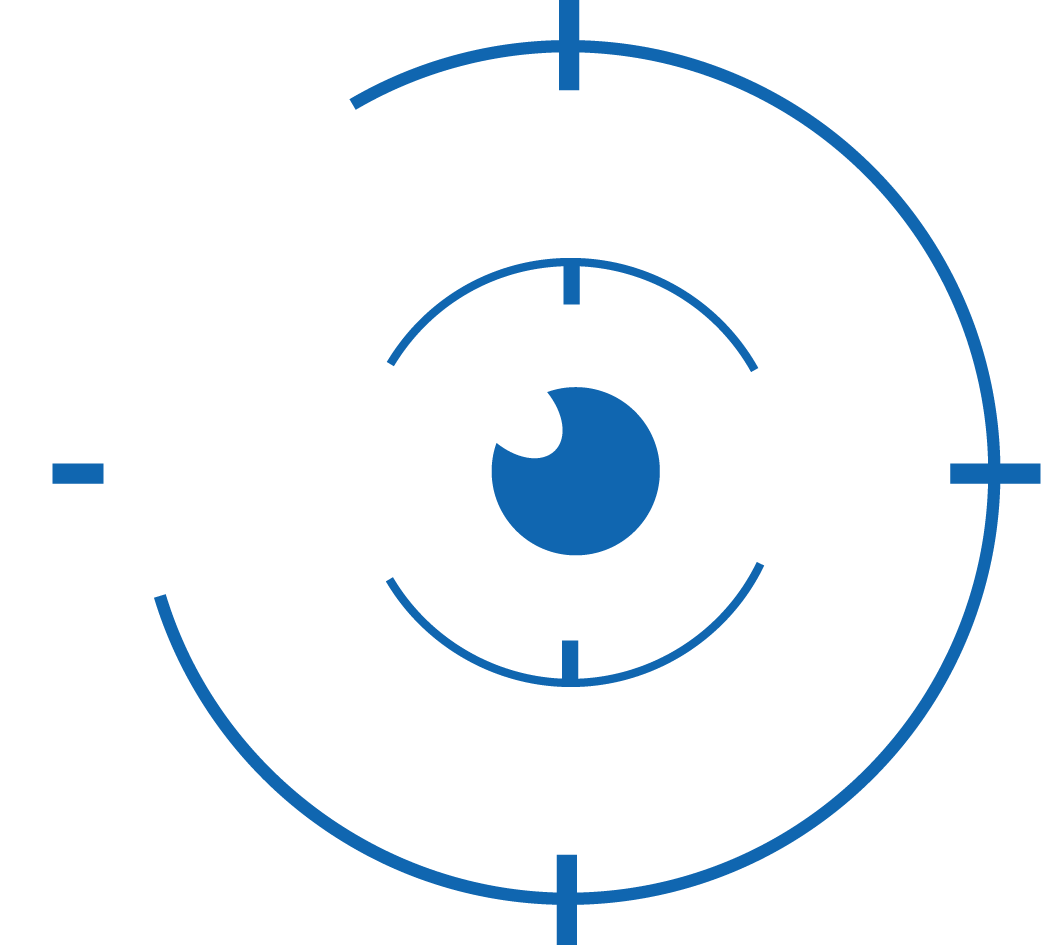 Perfect Visions